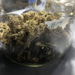 BaanHip Cannabis & Cafe (Medical Cannabis Herbs)