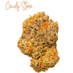 CANDY STORE [hybrid]