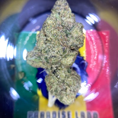 Paradise Land Dispensary Weed & Cannabis product image