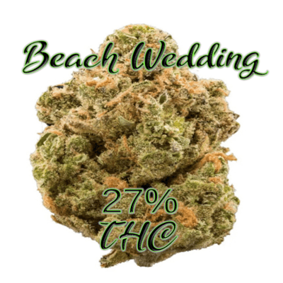 Beach Wedding HYDRO