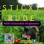 Sticxy Rude 420 Cannabis