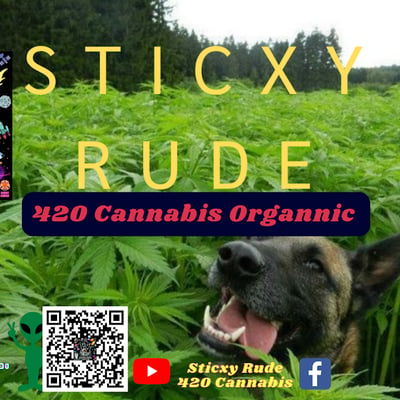 Sticxy Rude 420 Cannabis product image