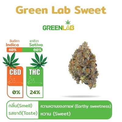 Green Lab Sweet