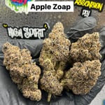 APPLE ZOAP