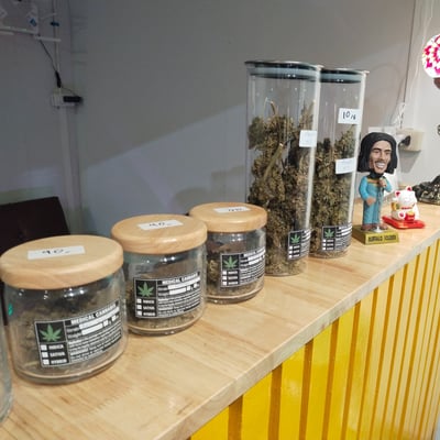 JaFord Cannabis SHOP/ จำหน่ายกัญชา (อุดร) ข้างๆเซเว่น ซ.พรหมประกาย product image