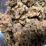 SeaWeed Cannabis Store Huahin 83