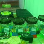 PONG CANNABIS STORE