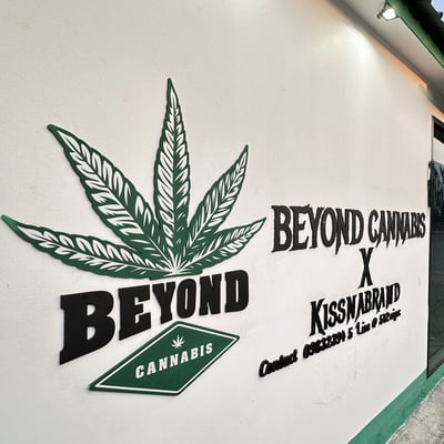 BEYOND CANNABIS X KISSNABRAND DISPENSARY product image