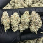 TruffAloha
