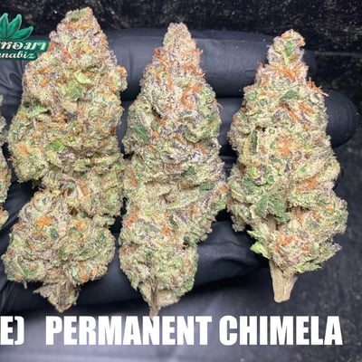 Permanent Chimela