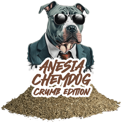 Anesia Chemdog ( Crumb )