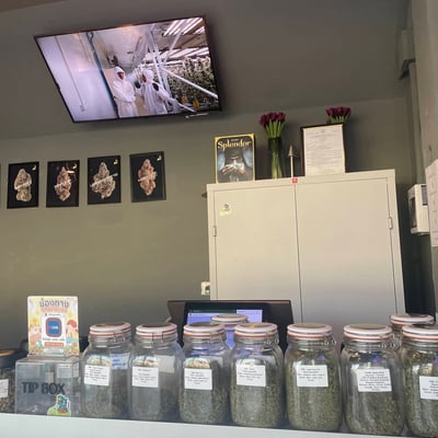 BB Cannabis 1 สาขาตลาดทวีทรัพย์ product image