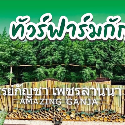 Pethlanna Organic Farm (ฟาร์มเกษตรอินทรีย์เพชรล้านนา) product image