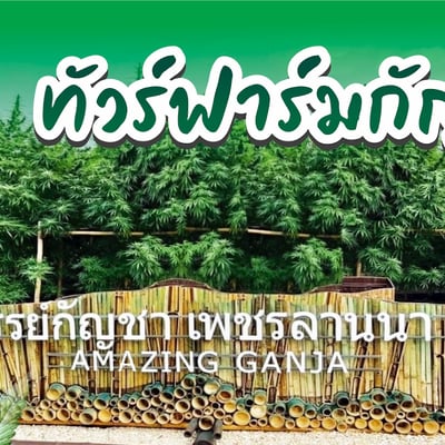 Pethlanna Organic Farm (ฟาร์มเกษตรอินทรีย์เพชรล้านนา)