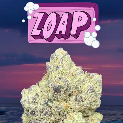 ZOAP