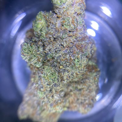 TouringLife Cannabis Dispensary product image