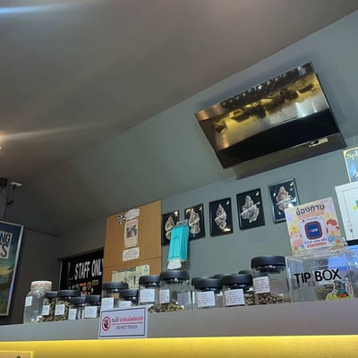 BB Cannabis 1 สาขาตลาดทวีทรัพย์ product image