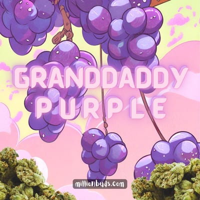 Grand Daddy Purple | GDP
