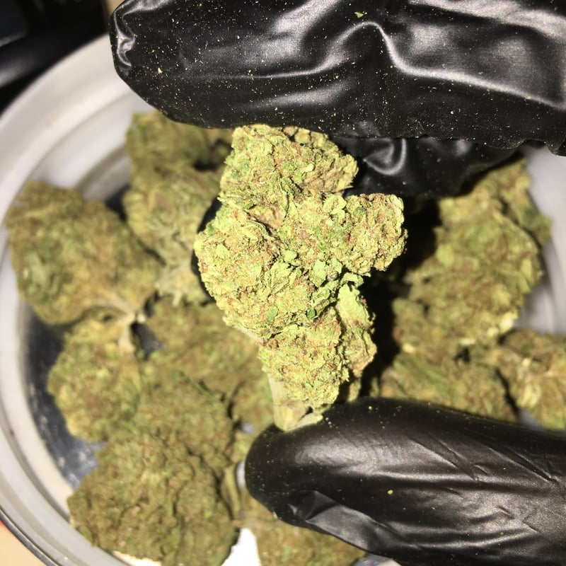 Cham dawg at Beet House บีทเฮาส์ Cannabis Shop ร้านกัญชาไกล้ฉัน in  Kanchanaburi - Weed in Thailand