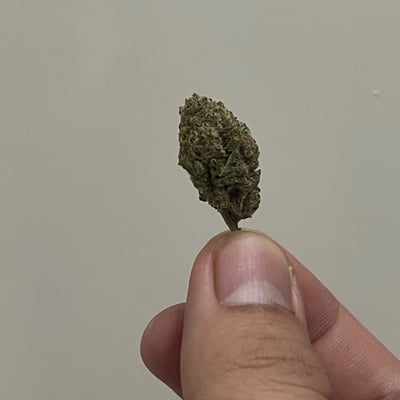 black hole shop 420 product image