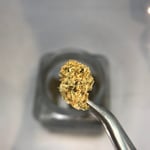 Slurri Cane