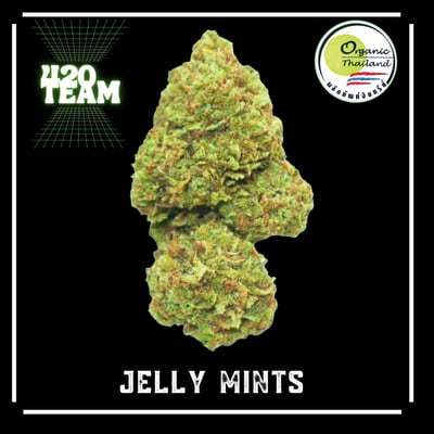 JELLY MINTS (Organic)