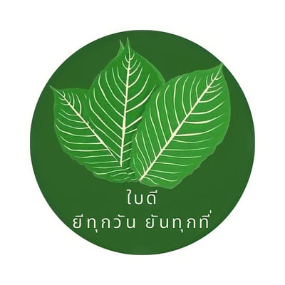 ใบดี ยีทุกวัน ยันทุกที่ Outdoor Cannabis Uthaithani