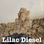 LILAC DIESEL