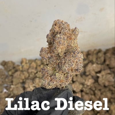 LILAC DIESEL