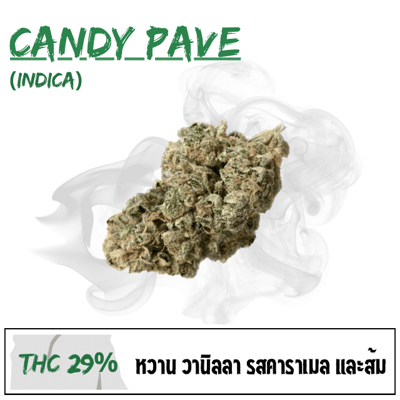 Candy Pave (Exotic)
