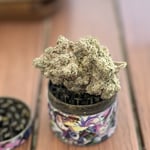 Rimping Best Flower Cannabis ฟาร์มกัญชา