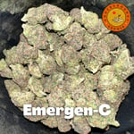 Emergen-C by Underground Grower