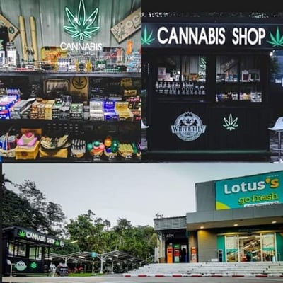 WHITE LILY cannabis dispensary & weed shop aonang delivery product image