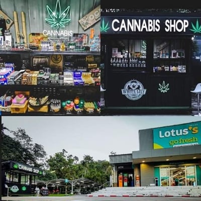 WHITE LILY weed shop and cannabis dispensary aonang cannabis shop delivery product image