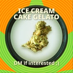 Ice Cream Cake Gelato
