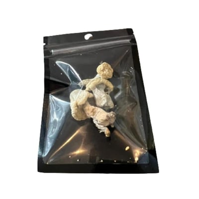 Dried Mushroom (2 Gram)