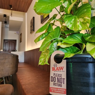 Mary Jane Buriram 1st Medical Cannabis Dispensary & Lounge in Buriram กัญชา Ganja product image
