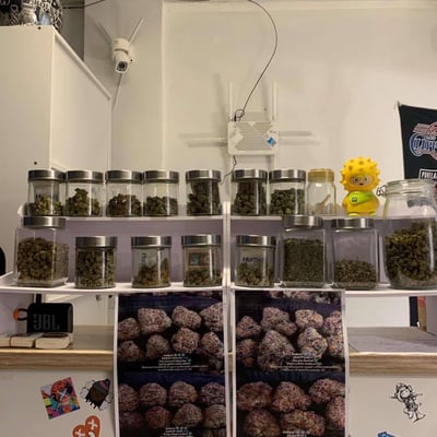 Country Boy🌳☘️ product image