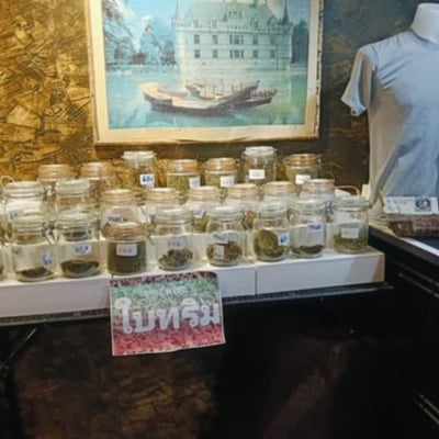 Chumphon cannabis (ชุมพรแคนนาบีส) cannabis shop product image