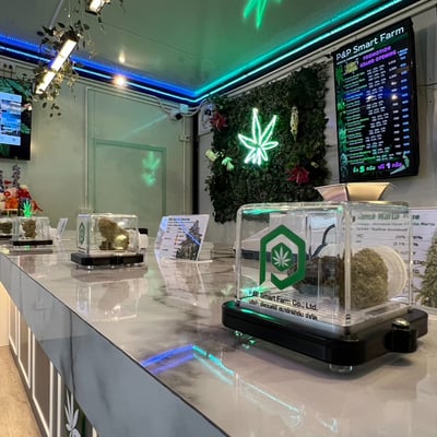ร้านกัญชา P&P Dispensary & Showroom