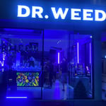 Dr Weed Patong