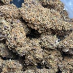 Mrs.BUDZ Cannabis Delivery & Pickup Premium Weed Service Chiang Mai & Thailand กัญชา
