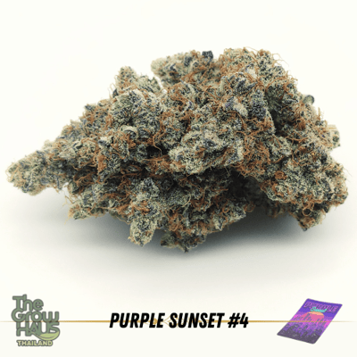 Purple Sunset #4