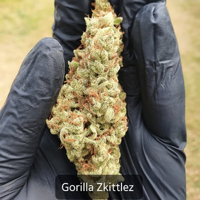 Gorilla Zkittlez 