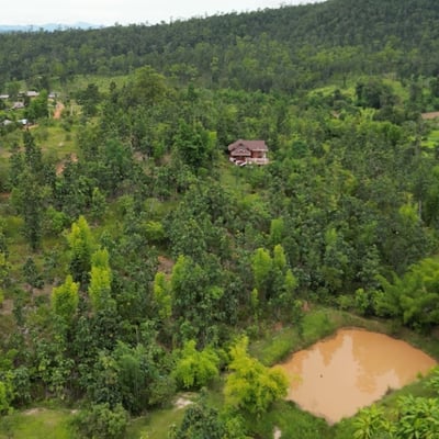Mountain High Restaurant, Resort & Cannabis product image