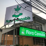 Flora Cannabis โกสุม