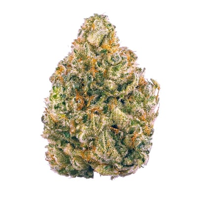 Budzilla product image