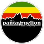 Coastal Oaxacan - The Pantagruelion