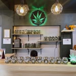 B Garden cannabis shop