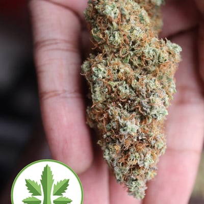 Royyim Cannabis Store Songkhla(ร้านติดถนนใหญ่...จอดรถง่าย)(มีบริการจัดส่ง) product image